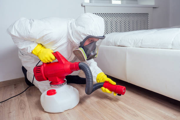 Best Real Estate Pest Inspections  in Georgetown, IL